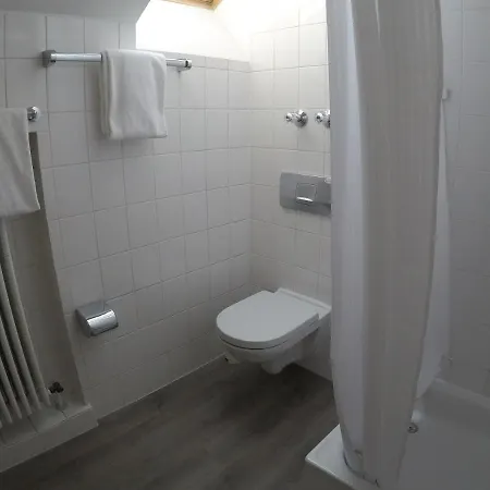 Hotel Blutenburg 3*